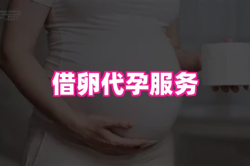 武汉助孕网 3