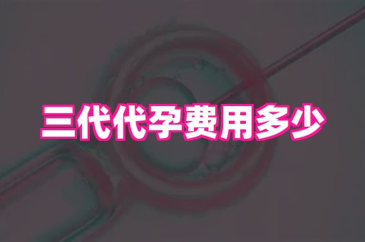 武汉助孕网 4